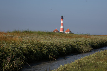 Salzwiesen zum Westerhever Leuchtturm - viel Natur für ausgiebige und entspannte Spaziergänge