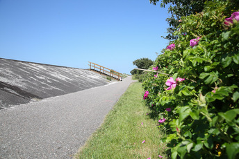 Fahrrad- und Fußgängerweg am Deich von Böhl bis Dorf.