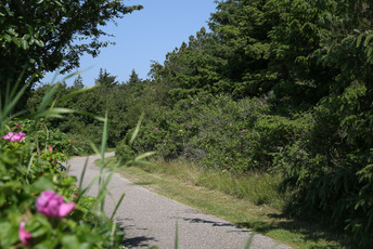 Wald, Deich, Strand - was will man mehr für ausgiebige Fahrradtouren oder Spaziergänge.