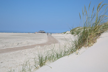 Sanddünen am Eingang des Ordinger Strandes