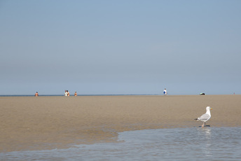 Weiter Ordinger Strand - viel Platz für Spaziergänge, Entspannung, Spiel und Spaß